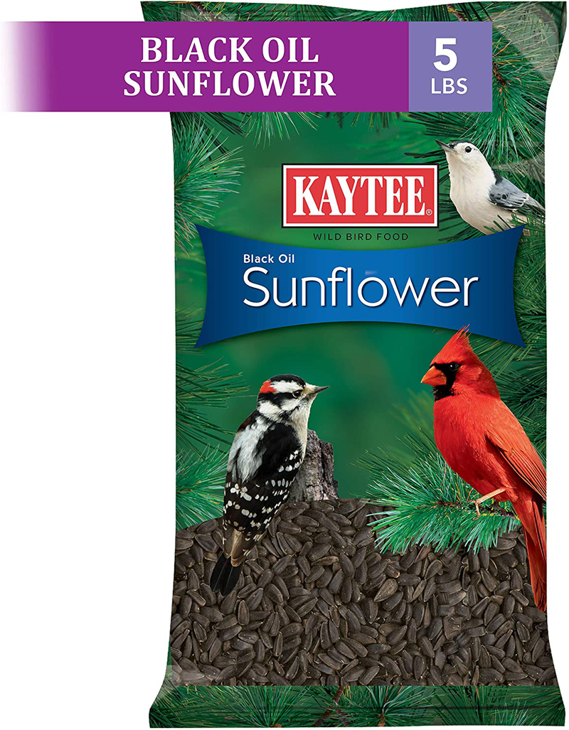 Kaytee Wild Bird Black Oil Sunflower Food, 5 Pounds Animals & Pet Supplies > Pet Supplies > Bird Supplies > Bird Food Central Garden & Pet   