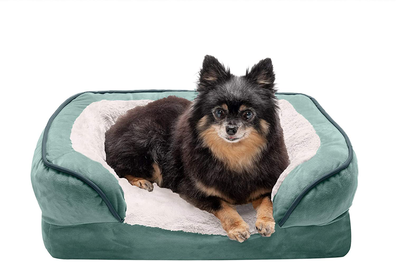 Furhaven Orthopedic, Cooling Gel, and Memory Foam Pet Beds for Small, Medium, and Large Dogs and Cats - Luxe Perfect Comfort Sofa Dog Bed, Performance Linen Sofa Dog Bed, and More Animals & Pet Supplies > Pet Supplies > Dog Supplies > Dog Beds Furhaven Velvet Waves Celadon Green Sofa Bed (Memory Foam) Small (Pack of 1)