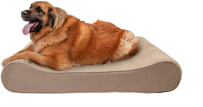 Furhaven Orthopedic, Cooling Gel, and Memory Foam Pet Beds for Small, Medium, and Large Dogs - Ergonomic Contour Luxe Lounger Dog Bed Mattress and More Animals & Pet Supplies > Pet Supplies > Dog Supplies > Dog Beds Furhaven Pet Products, Inc Microvelvet Clay Contour Bed (Orthopedic Foam) Jumbo Plus (Pack of 1)