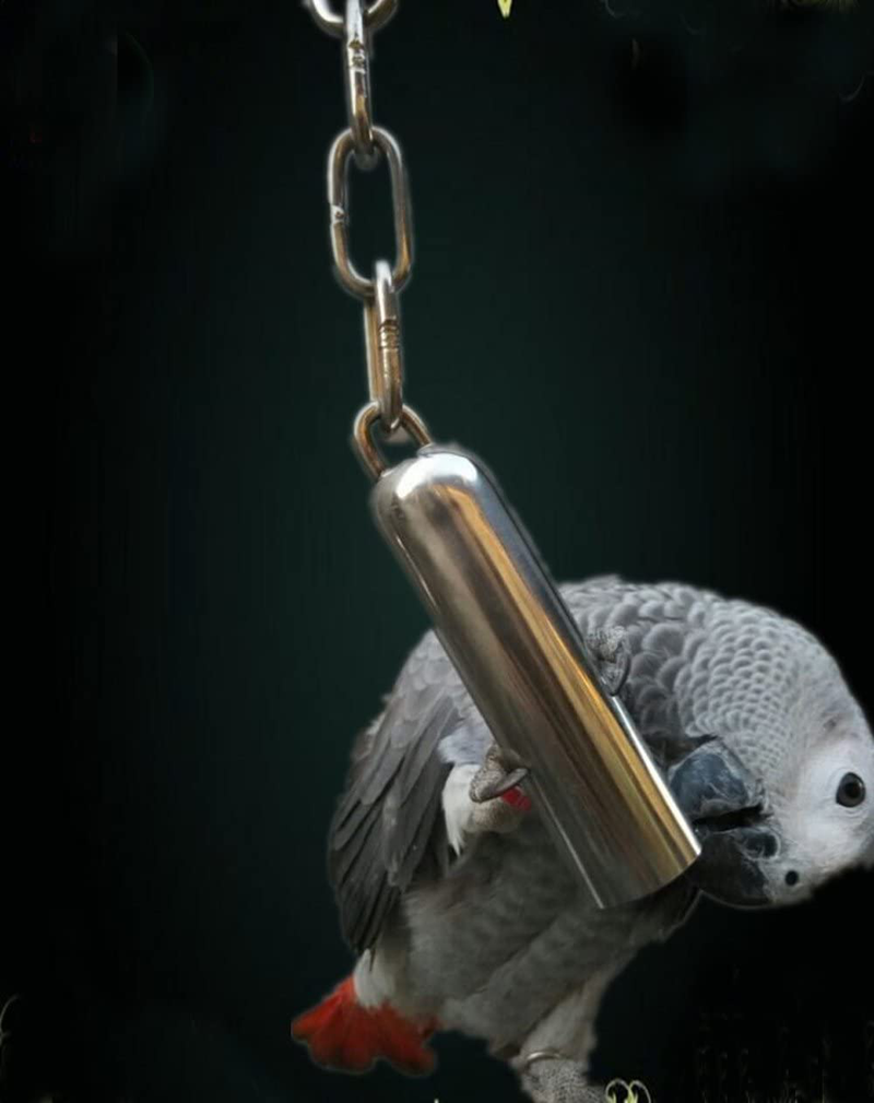 Stainless Steel Bell Toy for Birds,Heavy Duty Bird Cage Toys for Parrots, African Greys, Mini Macaws, Small Cockatoos, Cockatiels & More (Small or Large)