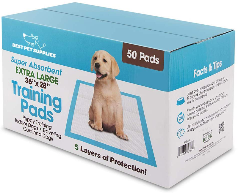 Puppy Training Pads for Large Breeds by Best Pet Supplies Animals & Pet Supplies > Pet Supplies > Dog Supplies > Dog Diaper Pads & Liners Best Pet Supplies 1Blue XL: 28 x 36" (Pack of 50) 