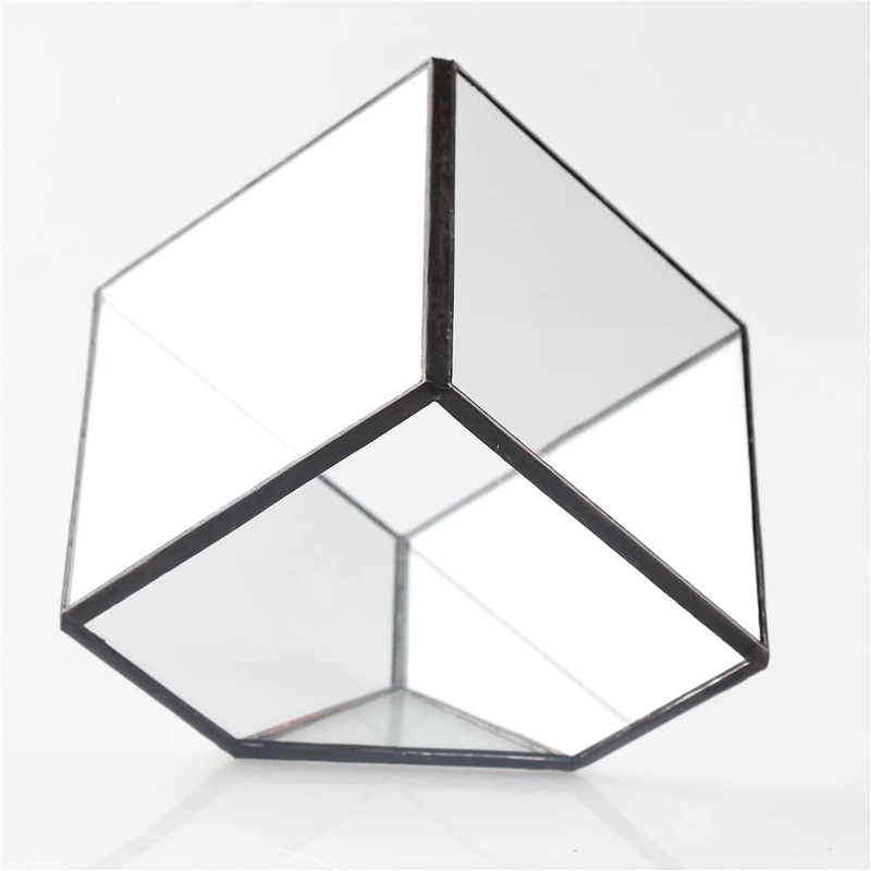 NCYP 3.93 inches Geometric Decorative Terrarium Cube Inclined Clear Glass Planter Tabletop Black Small Air Plant Holder Display Box Succulent Moss Flower Pot Containers DIY Centerpiece (No Plants) Animals & Pet Supplies > Pet Supplies > Reptile & Amphibian Supplies > Reptile & Amphibian Habitats Zhongpengcheng   