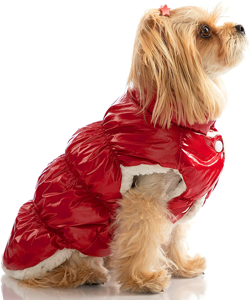 Hollypet Dog Vest Winter Dog Coat Warm Puppy Jacket Lightweight Outdoor Pet Vest Windproof Snowsuit Cold Weather Apparel Clothes for Small Dogs, Gold, S Animals & Pet Supplies > Pet Supplies > Dog Supplies > Dog Apparel Hollypet Red Medium 