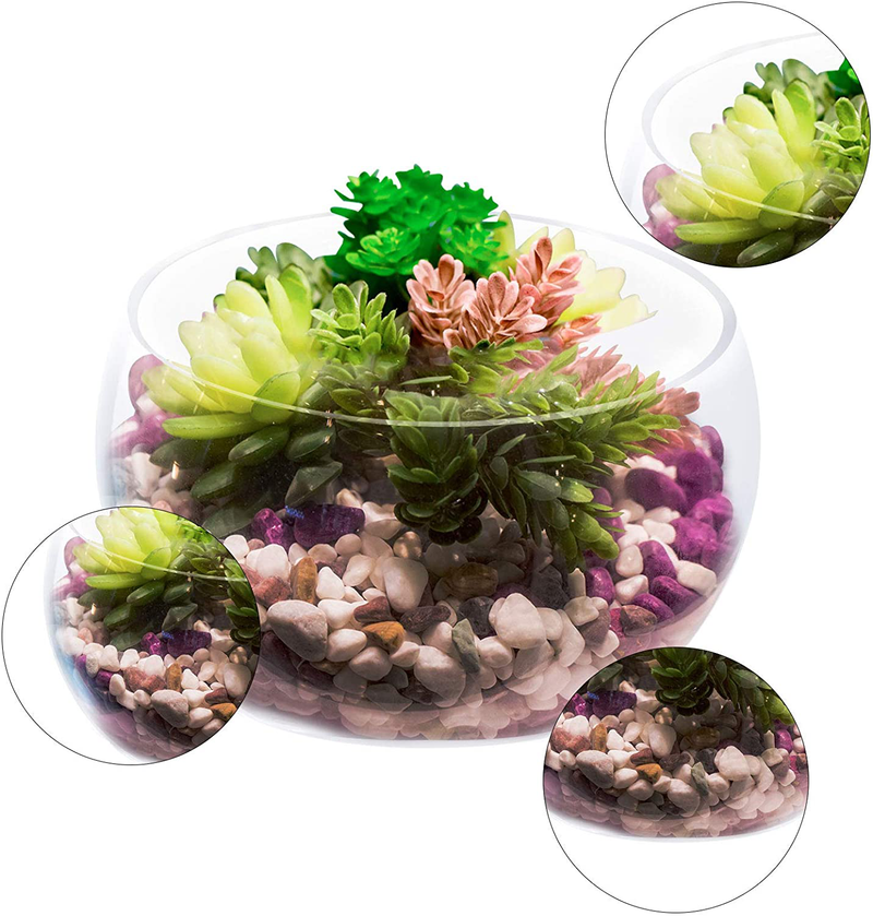 HWASHIN Set of 2 Clear Glass Vases Slant Cut Terrarium, 7” W x 5” H, Fish Bowl, Candy Dish, Succulent Flower Container with Sponge Brush, Decorative Center Piece for Home, Events or Weddings