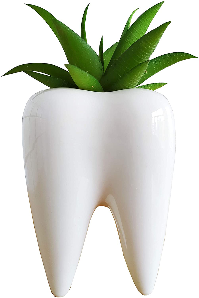 Cute Tooth Shaped Ceramic Succulent Cactus Flower Pot (Plants Not Included) (1) Home & Garden > Decor > Vases Cuteforyou Default Title  