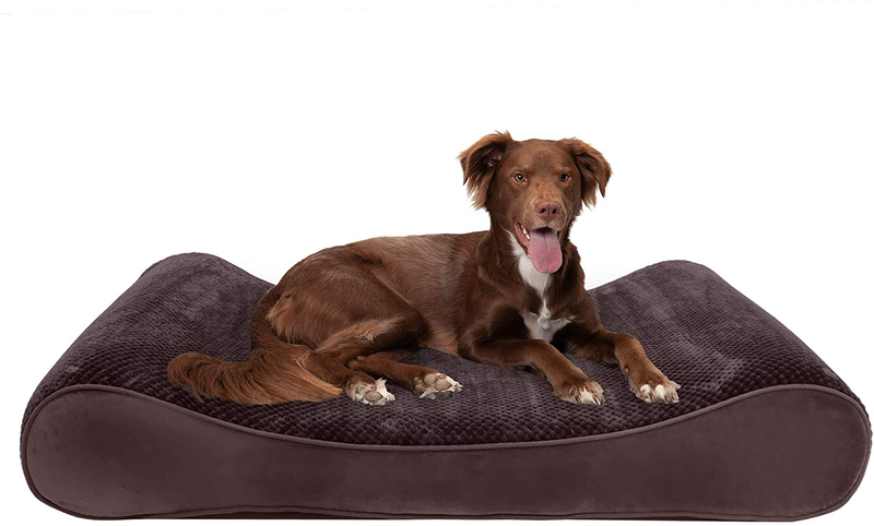 Furhaven Orthopedic, Cooling Gel, and Memory Foam Pet Beds for Small, Medium, and Large Dogs - Ergonomic Contour Luxe Lounger Dog Bed Mattress and More Animals & Pet Supplies > Pet Supplies > Dog Supplies > Dog Beds Furhaven Pet Products, Inc Minky Espresso Contour Bed (Memory Foam) Jumbo Plus (Pack of 1)