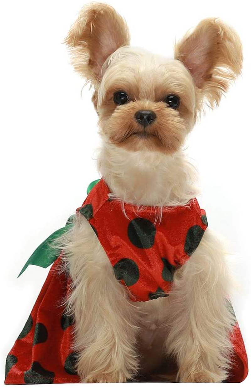 Fitwarm Christmas Dog Dresses Holiday Outfits Pet Clothes Cat Costume Polka Dot Red Animals & Pet Supplies > Pet Supplies > Cat Supplies > Cat Apparel Fitwarm   