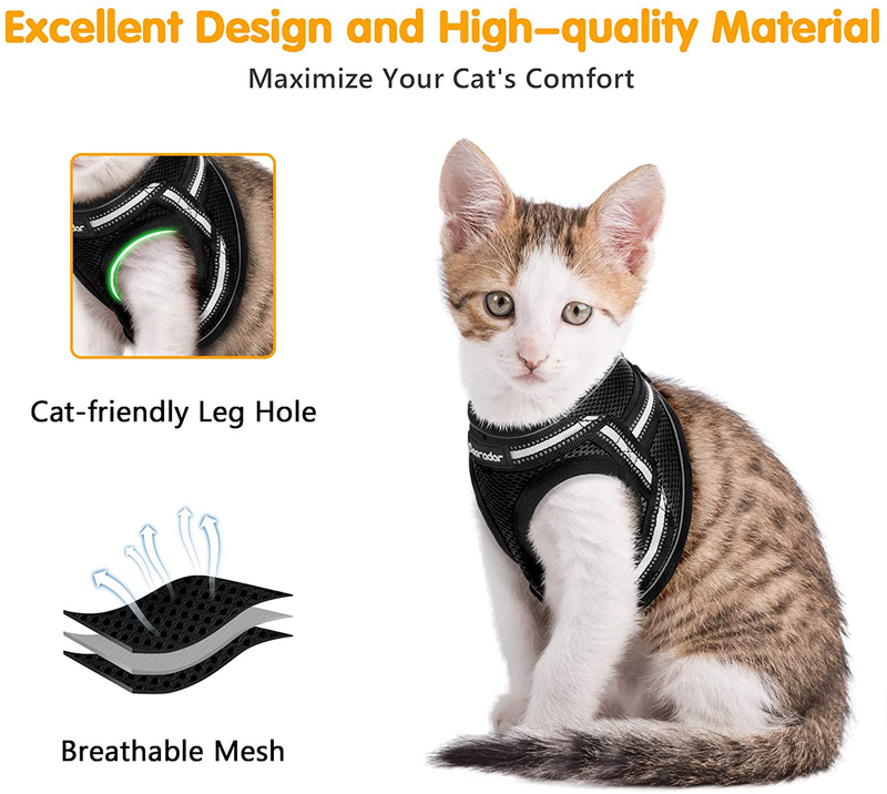Dooradar Cat Leash and Harness Set Escape Proof Safe Cats Step-in Vest Harness for Walking Outdoor Adjustable Kitten Harness with Reflective Strip Breathable Mesh for Cat, Multiple Color