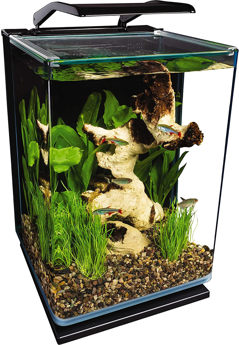 Marineland Portrait Glass LED aquarium Kit, 5 Gallons, Hidden Filtration Animals & Pet Supplies > Pet Supplies > Fish Supplies > Aquariums MarineLand Default Title  