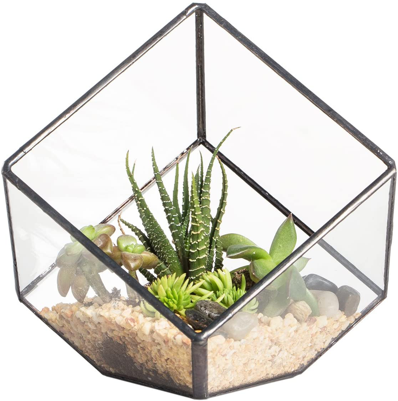 NCYP 3.93 inches Geometric Decorative Terrarium Cube Inclined Clear Glass Planter Tabletop Black Small Air Plant Holder Display Box Succulent Moss Flower Pot Containers DIY Centerpiece (No Plants) Animals & Pet Supplies > Pet Supplies > Reptile & Amphibian Supplies > Reptile & Amphibian Habitats Zhongpengcheng Cube  