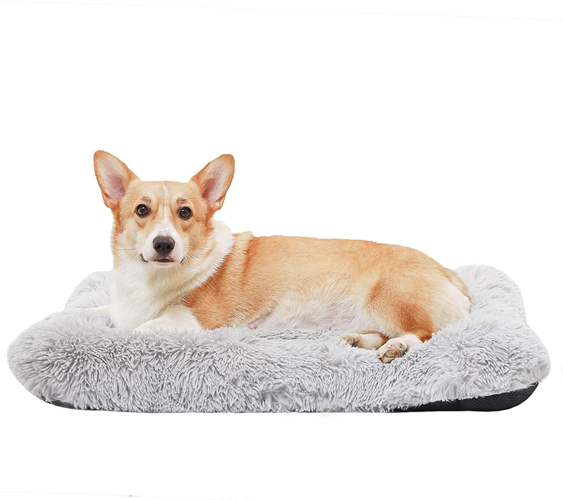 HACHIKITTY Calming Dog Bed Crate Pads, Dog Crate Bed Large Dogs, Dog Crate Mats Machine Washable Animals & Pet Supplies > Pet Supplies > Dog Supplies > Dog Beds HACHIKITTY grey Medium 