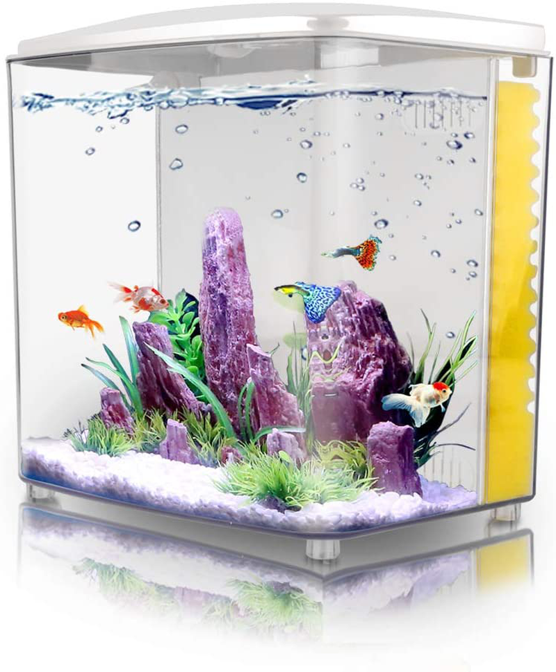 FREESEA 1.2 Gallon Betta Aquarium Fish Tank with LED Light and Filter Pump Animals & Pet Supplies > Pet Supplies > Fish Supplies > Aquariums FREESEA Square / White  