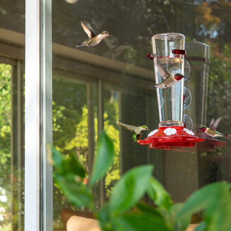 Nature Anywhere Window Hummingbird Feeders for Outdoors Including 3 Colors of Interchangeable Flowers for Hummingbirds Food, Sugar Water and Nectar (Large) Animals & Pet Supplies > Pet Supplies > Bird Supplies > Bird Cage Accessories > Bird Cage Food & Water Dishes Nature Anywhere   