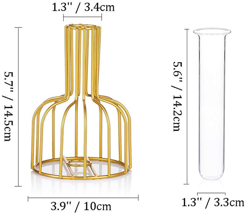 Glass Propagation Station with Metal Frame, Gold Flower Vase, Test Tube Vase for Hydroponic Plant, Small Bud Vase for Home Kitchen Office Table Top Decor Home & Garden > Decor > Vases Glasseam   