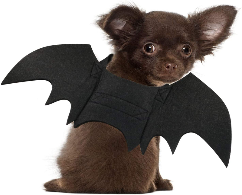 Rypet Dog Bat Costume - Halloween Pet Costume Bat Wings Cosplay Dog Costume Cat Costume for Party Animals & Pet Supplies > Pet Supplies > Dog Supplies > Dog Apparel Rypet X-Small (Pack of 1)  