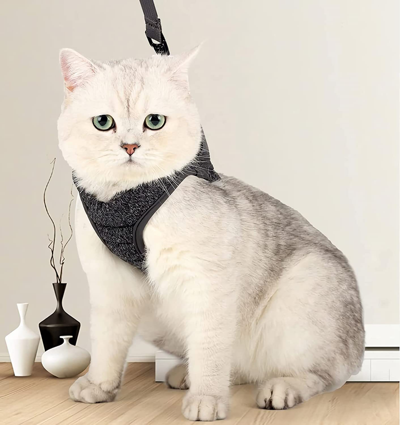 Cohtsoki Cat Harness and Leash, Prevent Escape Proof Cat Leashes, for Cat Walking Harness Harness Large, Medium and Small Type Cat Walk-in Adjustable Cat Vest Strap (Grey, S (Chest: 9 - 11")) Animals & Pet Supplies > Pet Supplies > Cat Supplies > Cat Apparel COHTSOKI   
