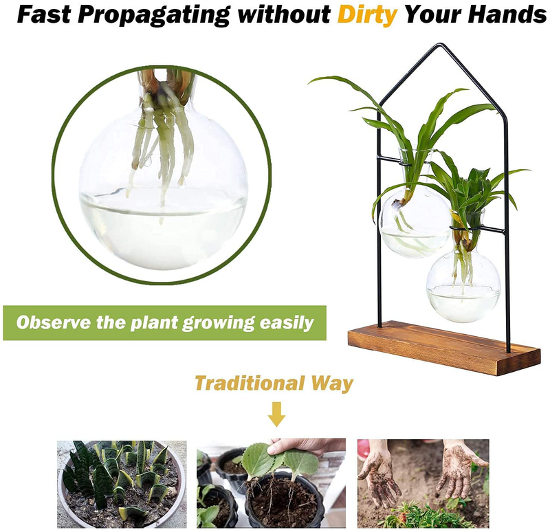 Plant Propagation Station Indoor for Hydroponic Plant, Plant Terrarium for Air Plants, Propogation Planters Glass Bulb Vase for Tabletop Coffee,Table Desk,Office Home Décor(2 Bulb Vases&1 Wood Stand) Home & Garden > Decor > Vases Planterhoma   
