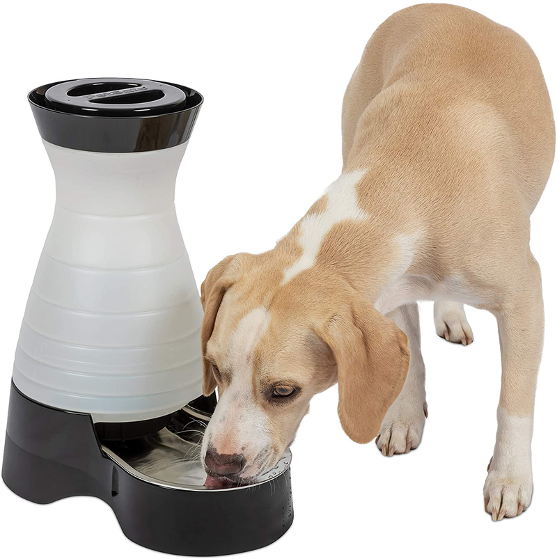 PetSafe Healthy Pet Gravity Food or Water Station, Automatic Dog and Cat Feeder or Water Dispenser, Small, Medium, Large Animals & Pet Supplies > Pet Supplies > Dog Supplies Water & Feed Waterer Medium (Pack of 1) 