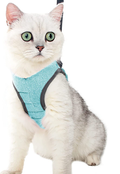 Cohtsoki Cat Harness and Leash, Prevent Escape Proof Cat Leashes, for Cat Walking Harness Harness Large, Medium and Small Type Cat Walk-in Adjustable Cat Vest Strap (Grey, S (Chest: 9 - 11")) Animals & Pet Supplies > Pet Supplies > Cat Supplies > Cat Apparel COHTSOKI Green L (Chest: 13 - 15") 