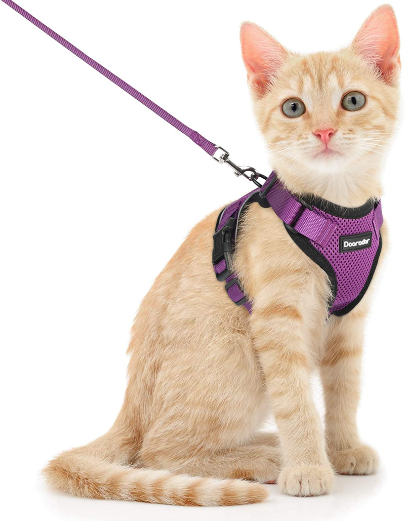 Dooradar Cat Leash and Harness Set, Escape Proof Safe Breathable Cat Vest Harness for Walking , Easy Control Soft Adjustable Reflective Strips Mesh Jacket for Cats, Pink, XS (Chest: 13.5” -16.0”) Animals & Pet Supplies > Pet Supplies > Cat Supplies > Cat Apparel Dooradar Purple X-Small (Pack of 1) 