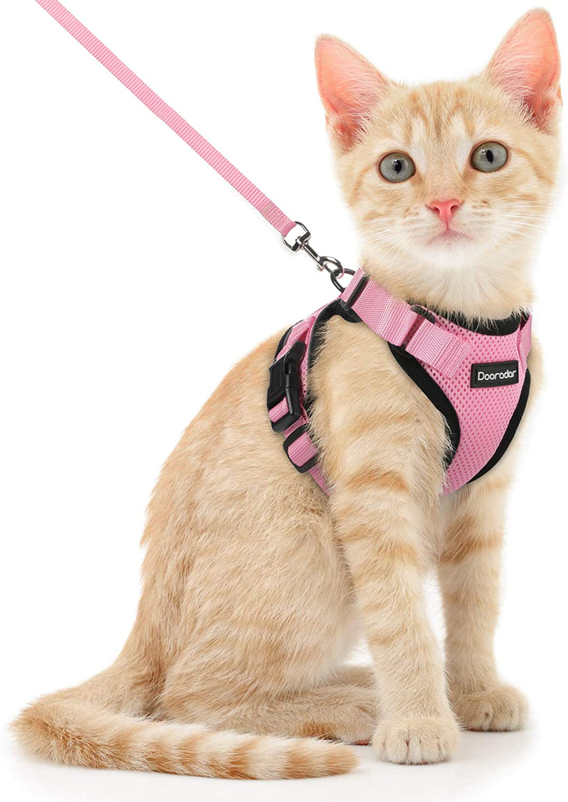 Dooradar Cat Leash and Harness Set, Escape Proof Safe Breathable Cat Vest Harness for Walking , Easy Control Soft Adjustable Reflective Strips Mesh Jacket for Cats, Pink, XS (Chest: 13.5” -16.0”) Animals & Pet Supplies > Pet Supplies > Cat Supplies > Cat Apparel Dooradar Pink X-Small (Pack of 1) 