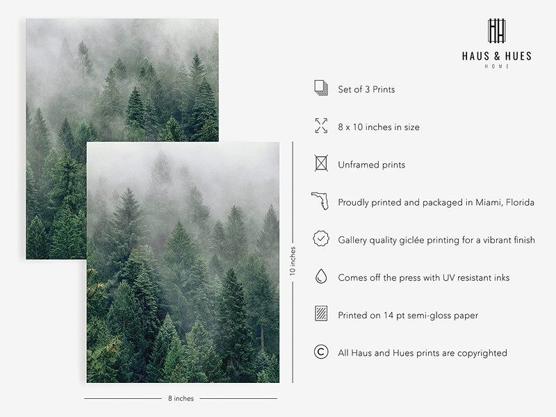 Haus and Hues Misty Forest Print Nature Poster - Forest Posters Landscape Photography Prints | Tree Posters and Mountain Decor Mountain Photography Poster Mountains Landscape | 8"X10" UNFRAMED Home & Garden > Decor > Artwork > Posters, Prints, & Visual Artwork HAUS AND HUES   