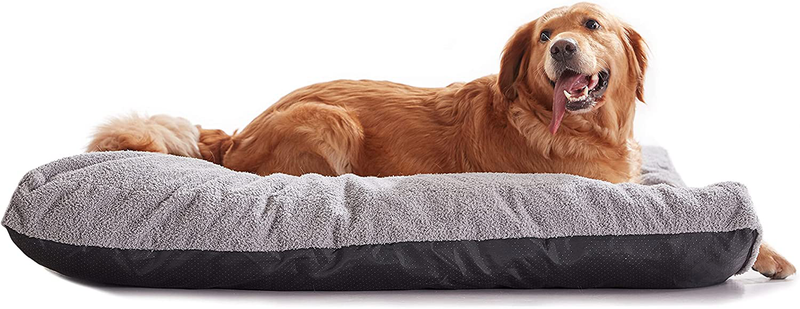 PETABBY Shredded Memory Foam Dog Bed Pillow, Waterproof Dog Bed with Machine Washable Removable Cover, Comfy Dog Bed for Medium Large Dog Animals & Pet Supplies > Pet Supplies > Dog Supplies > Dog Beds PETABBY Shredded Memory Foam XL(44"x32"x4") 