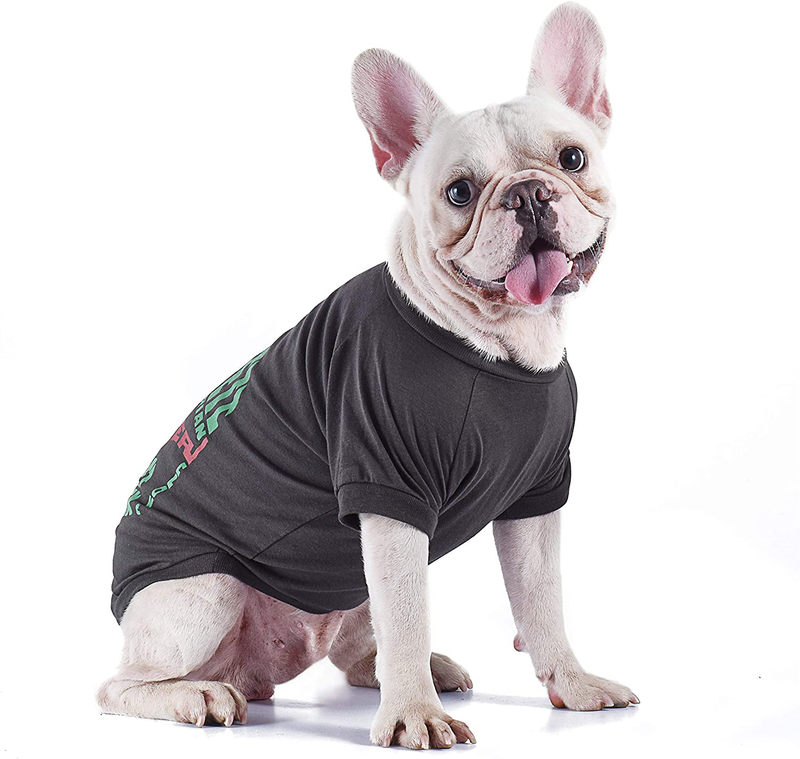 Star Wars for Pets Boba Fett Dog Tee | Star Wars Dog Shirt for Small Dogs | Size Small | Soft, Cute, and Comfortable Dog Clothing and Apparel, Available in Multiple Sizes Animals & Pet Supplies > Pet Supplies > Cat Supplies > Cat Apparel STAR WARS   