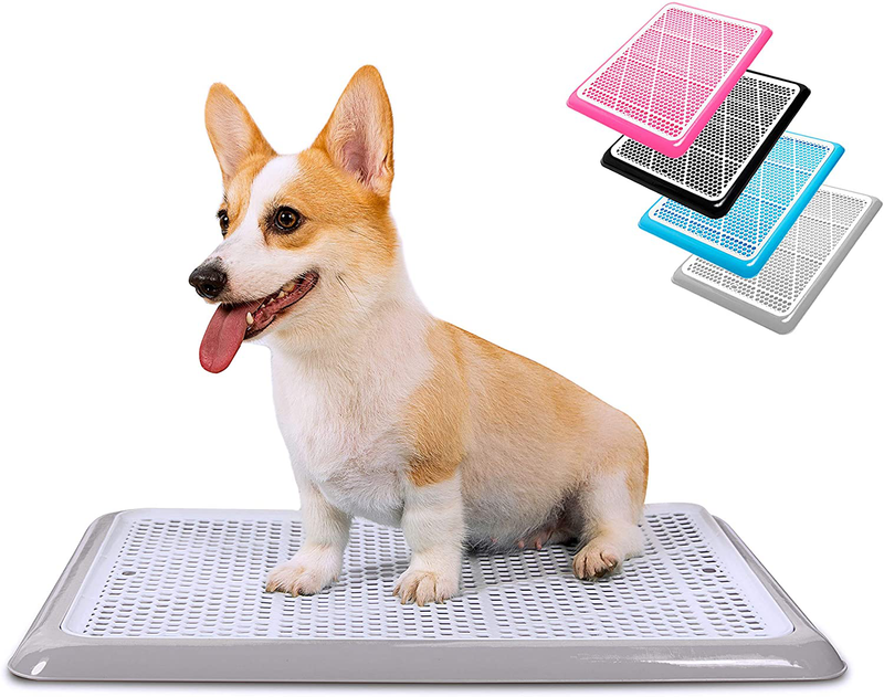 Pet Awesome Dog Potty Tray / Puppy Pee Pad Holder 25”x20” Indoor Wee Training for Small and Medium Dogs Animals & Pet Supplies > Pet Supplies > Dog Supplies > Dog Diaper Pads & Liners PET AWESOME Grey  