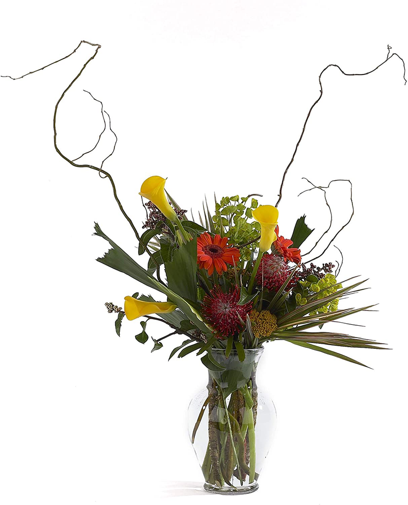 Floral Supply Online 10 5/8" Clear Spring Garden Vase and Flower Guide Booklet - Decorative Glass Flower Vase for Floral Arrangements, Weddings, Home Decor or Office. Home & Garden > Decor > Vases Floral Supply Online   