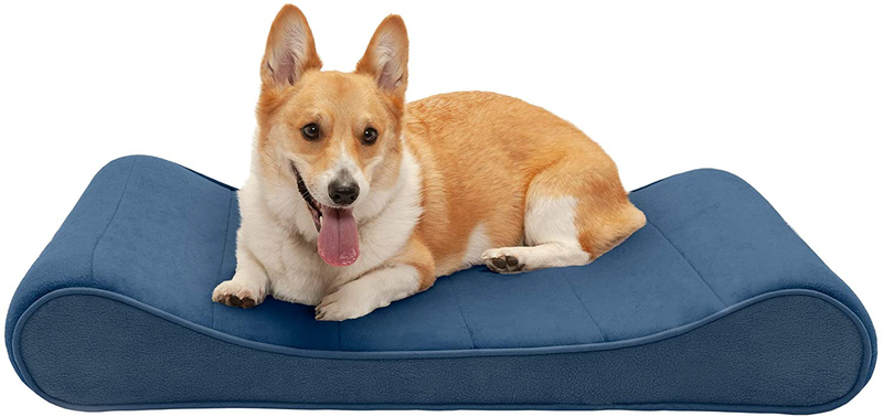 Furhaven Orthopedic, Cooling Gel, and Memory Foam Pet Beds for Small, Medium, and Large Dogs - Ergonomic Contour Luxe Lounger Dog Bed Mattress and More Animals & Pet Supplies > Pet Supplies > Dog Supplies > Dog Beds Furhaven Pet Products, Inc Microvelvet Stellar Blue Contour Bed (Memory Foam) Large (Pack of 1)