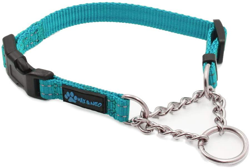 Max and Neo Stainless Steel Chain Martingale Collar - We Donate a Collar to a Dog Rescue for Every Collar Sold Animals & Pet Supplies > Pet Supplies > Dog Supplies Max and Neo TEAL X-SMALL 