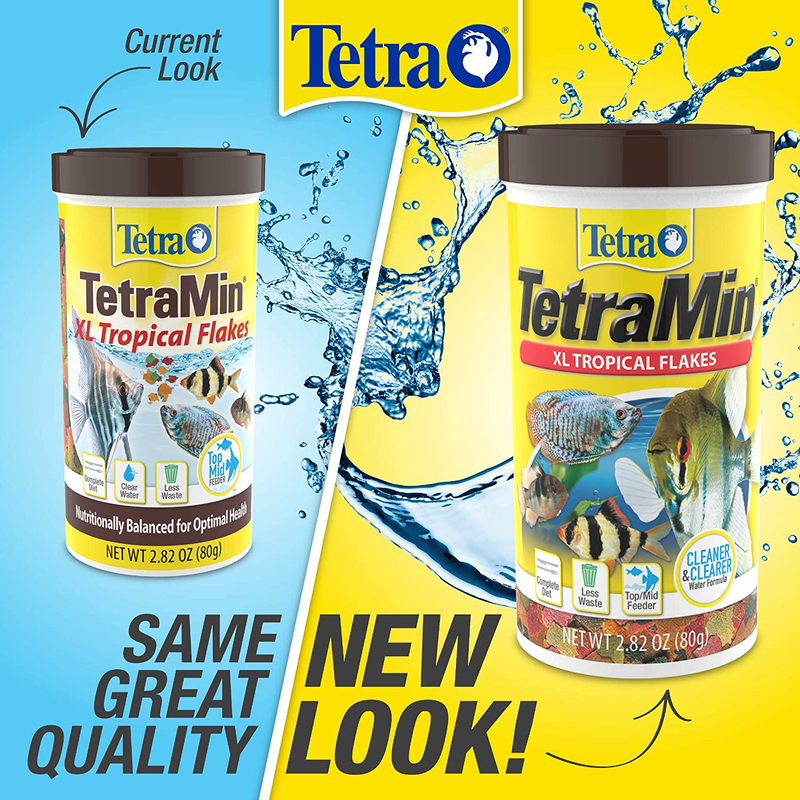 TetraMin Large Tropical Flakes For Top or Mid Feeders Animals & Pet Supplies > Pet Supplies > Fish Supplies > Fish Food Tetra 2.82 Ounce (Pack of 1)  