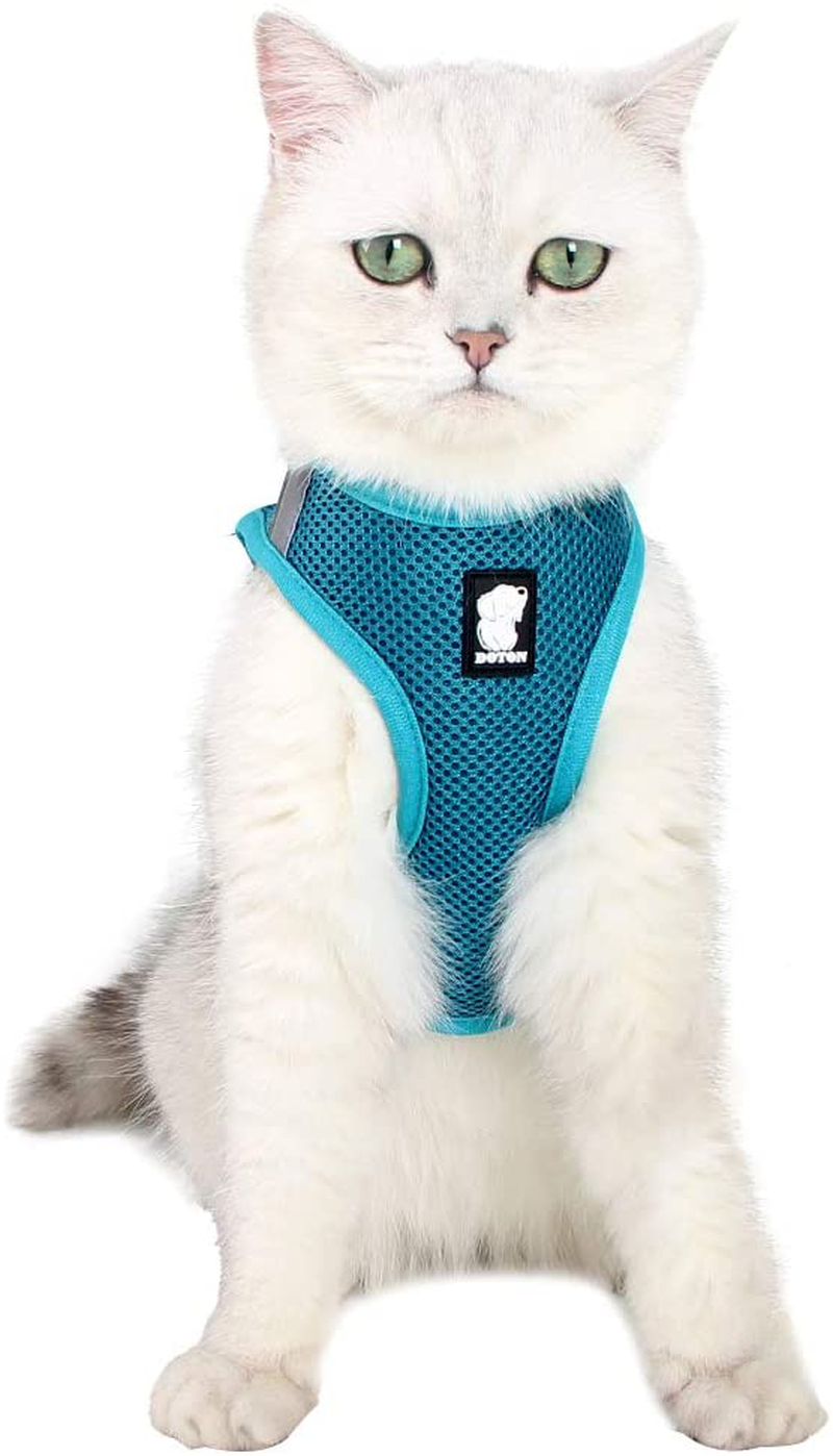 Heywean Cat Harness and Leash - Ultra Light Escape Proof Kitten Collar Cat Walking Jacket with Running Cushioning Soft and Comfortable Suitable for Puppies Rabbits Animals & Pet Supplies > Pet Supplies > Cat Supplies > Cat Apparel HEYWEAN Turquoise Small (Pack of 1) 