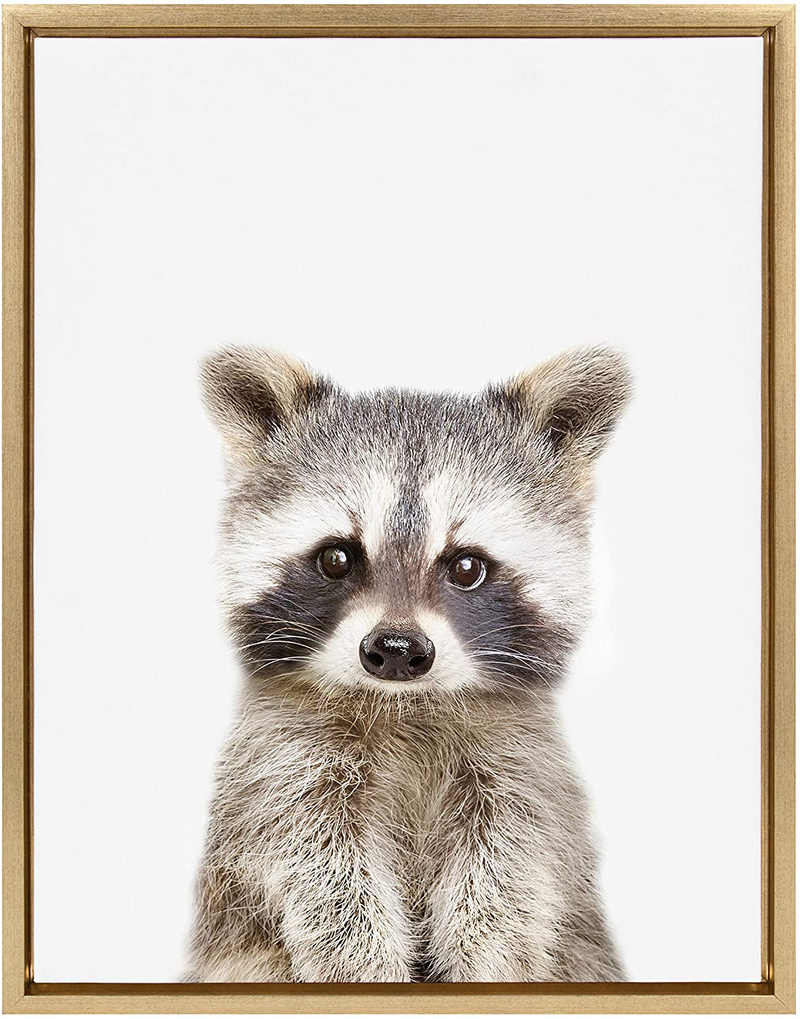 Kate and Laurel Sylvie Raccoon Portrait Framed Canvas Wall Art by Amy Peterson, 18x24 Gold, Adorable Animal Home Decor Home & Garden > Decor > Seasonal & Holiday Decorations Kate and Laurel Gold 18x24 
