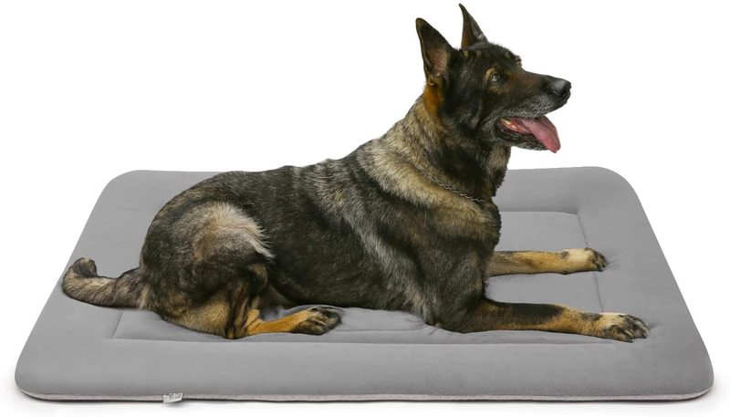 Hero Dog Large Dog Bed Crate Pad Mat Cute Paw Pet Beds for Medium, Large, and Extra Large Dogs, Washable Dog Sleeping Mattress with anti Slip Bottom, Multi Colors Animals & Pet Supplies > Pet Supplies > Dog Supplies > Dog Beds Hero Dog   