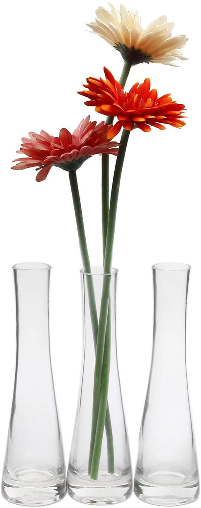 ComSaf Small Glass Vase for Flower Bud Home Decor Clear 8.5 Inch, Pack of 3 Home & Garden > Decor > Vases ComSaf Clear  