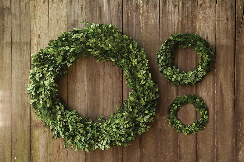 Creative Co-Op DA5819 round Boxwood Wreath, 6", Green Home & Garden > Decor > Seasonal & Holiday Decorations Creative Co-Op   