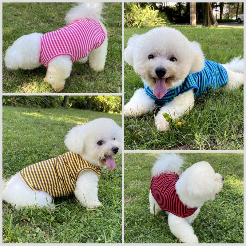LEVIBASIC Dog Shirts Cotton Striped T-Shirts, Breathable Basic Vest for Puppy and Cat, Super Soft Stretchable Doggy Tee Tank Top Sleeveless, Fashion & Cute Color for Boys and Girls Animals & Pet Supplies > Pet Supplies > Dog Supplies > Dog Apparel LEVIBASIC   