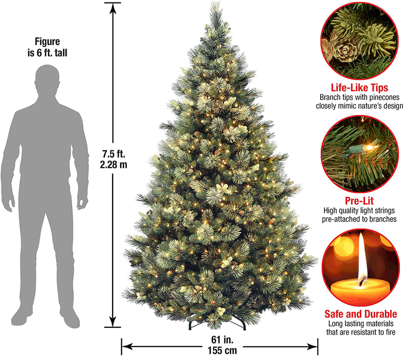 National Tree Carolina Pine Tree with Clear Lights , 7.5 Feet Home & Garden > Decor > Seasonal & Holiday Decorations > Christmas Tree Stands National Tree Company   