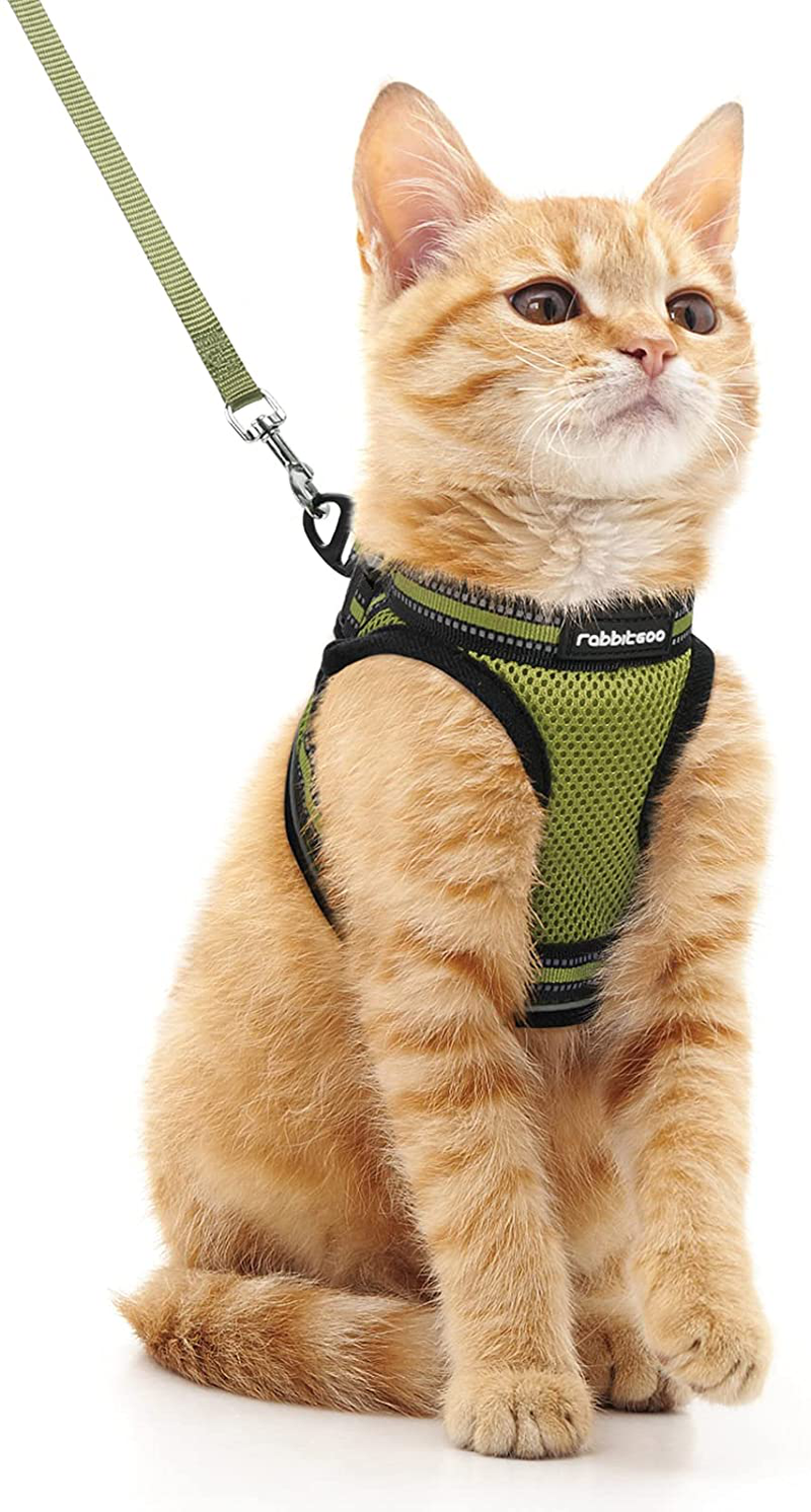 rabbitgoo Cat Harness and Leash Set for Walking Escape Proof, Adjustable Soft Kittens Vest with Reflective Strip for Cats, Comfortable Outdoor Vest, Black, S (Chest:9.0"-12.0") Animals & Pet Supplies > Pet Supplies > Cat Supplies > Cat Apparel rabbitgoo Green Medium 