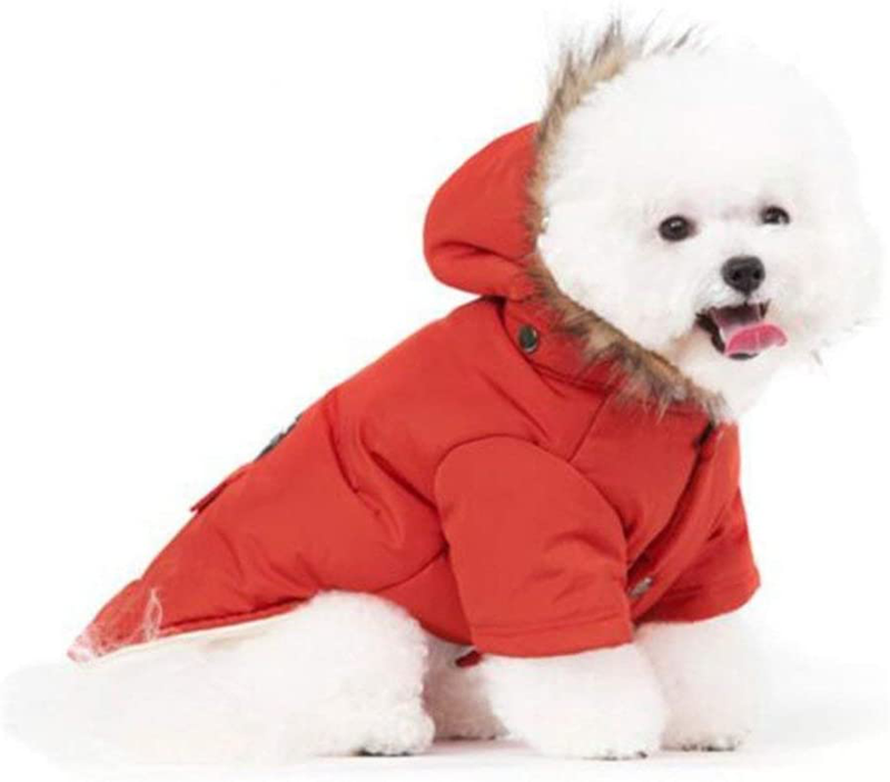 Petbobo Cat Dog Doggie down Jacket Hoodie Coat Pet Clothes Warm Clothing for Small Dogs Winter Black M Animals & Pet Supplies > Pet Supplies > Dog Supplies > Dog Apparel PetBoBo   