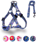 QQPETS Dog Harness Leash Set Adjustable Heavy Duty No Pull Halter Harnesses for Small Medium Large Breed Dogs Back Clip Anti-Twist Perfect for Walking Animals & Pet Supplies > Pet Supplies > Dog Supplies Guangzhou QQPETS Pet Products Co., Ltd. Blue L(23"-32" Chest Girth) 