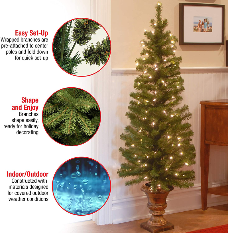 National Tree Company Pre-lit Artificial Christmas Tree For Entrances | Includes Pre-strung White Lights and Stand | Montclair Spruce - 5 ft
