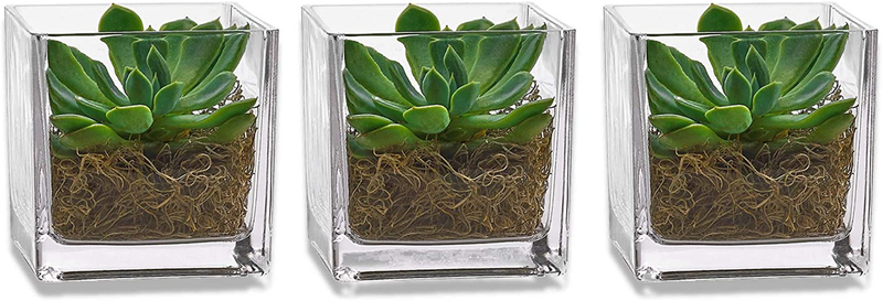 PARNOO Set of 3 Glass Square Vases 4 x 4 Inch – Clear Cube Shape Flower Vase, Candle Holders - Perfect as a Wedding Centerpieces, Home Decoration Home & Garden > Decor > Vases PARNOO   