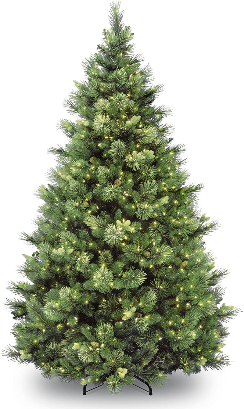 National Tree Carolina Pine Tree with Clear Lights , 7.5 Feet Home & Garden > Decor > Seasonal & Holiday Decorations > Christmas Tree Stands National Tree Company 7 ft  