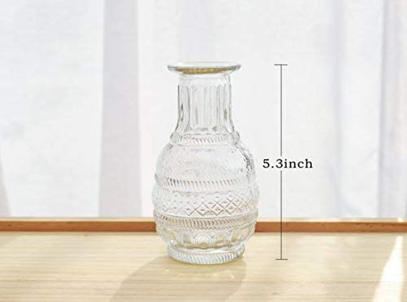 Set of 5 Single Bud Vase Small Glass Vase for Centerpiece Vintage Style,Thick Vase for Events,Home Décor Home & Garden > Decor > Vases Lynnsdecor   