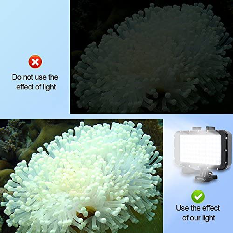 Suptig Underwater Lights Dive Light 84 LED High Power Dimmable Waterproof LED Video Light Waterproof 164ft(50m) for Gopro Canon Nikon Pentax Panasonic Sony Samsung SLR Cameras