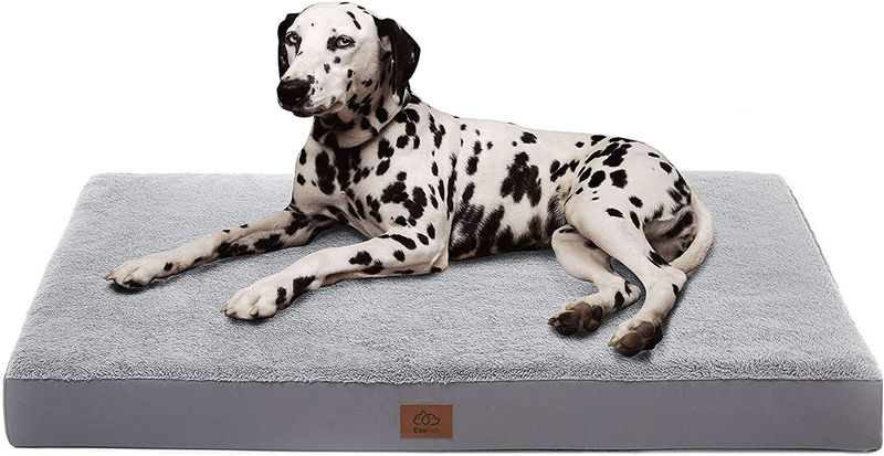Eterish Orthopedic Dog Bed for Medium, Large Dogs, Egg-Crate Foam Dog Bed with Removable Cover, Pet Bed Machine Washable, Grey