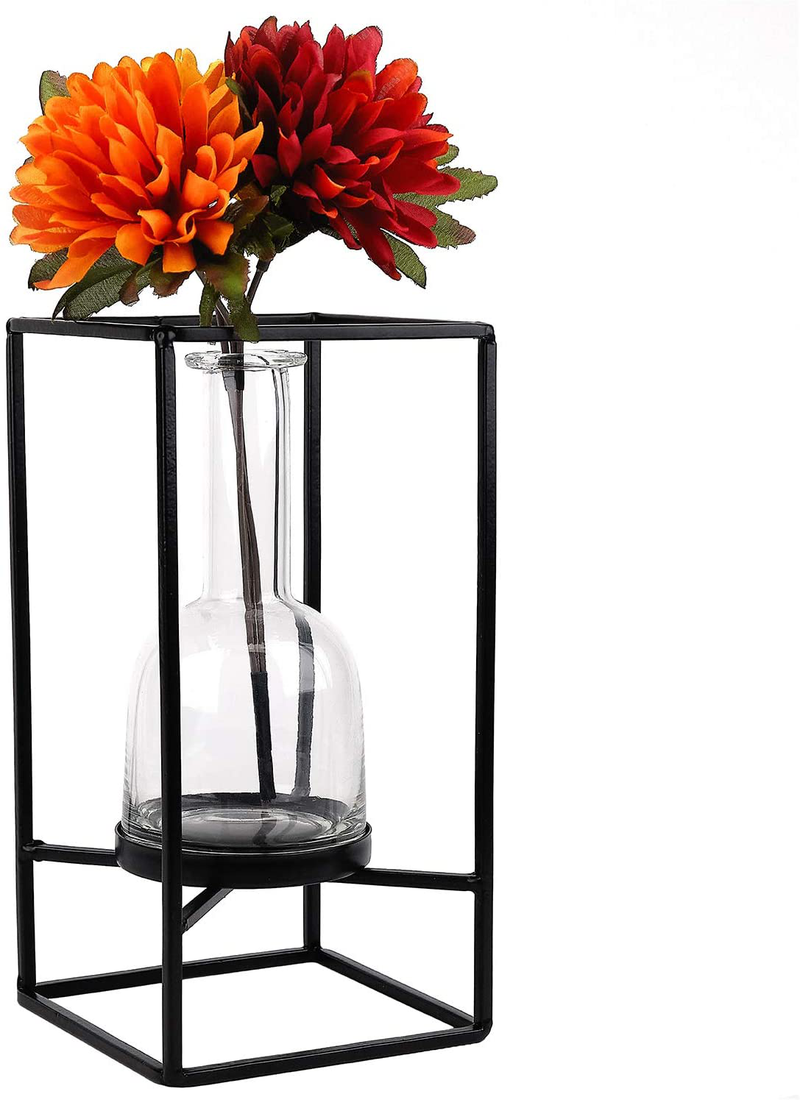 EXCELLO GLOBAL PRODUCTS Decorative Glass Vase with Metal Wire Stand: Clear Vase Decoration for Modern Home Decor (12.5" x 5.75")